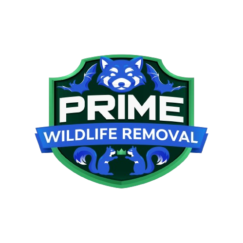 Wildlife Removal Richland